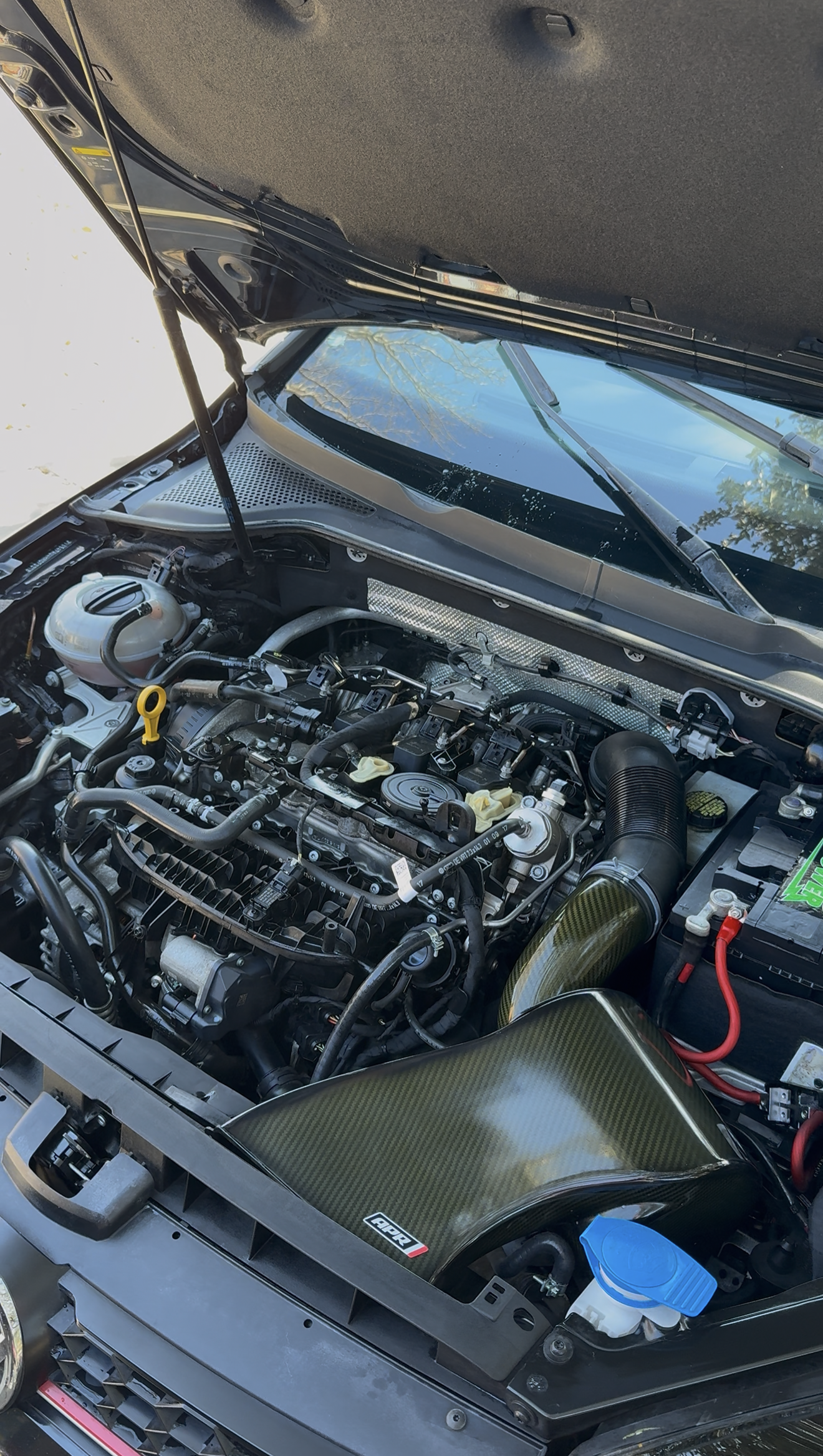 VW engine bay cleaned by CG's DFW