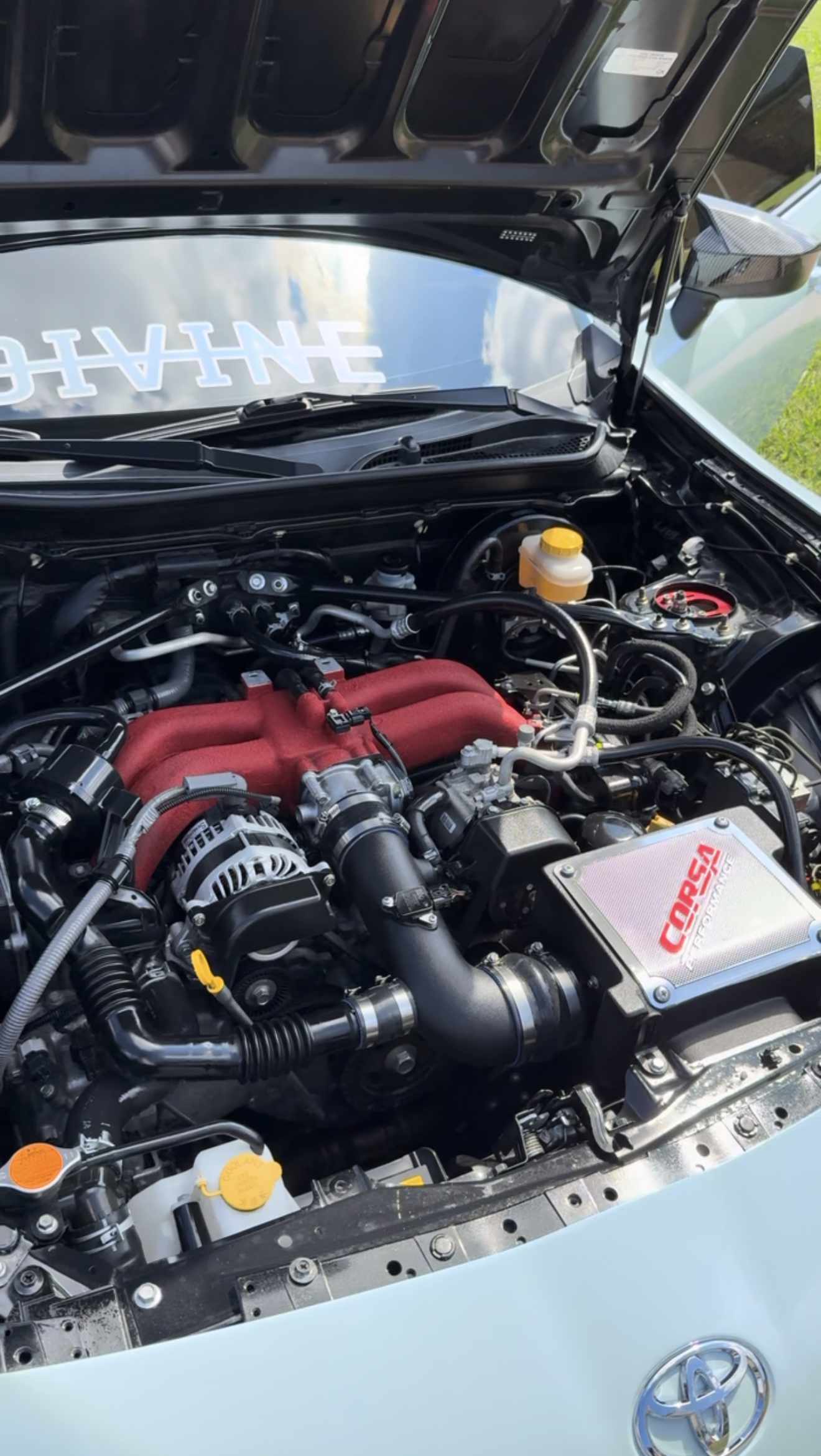 Toyota engine bay detailed clean DFW